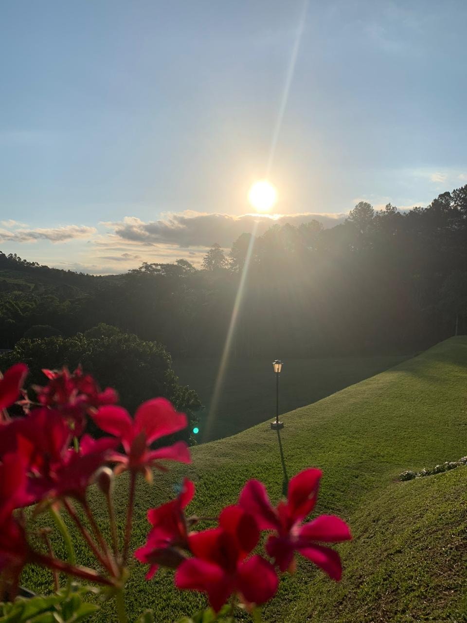 Pôr do sol dourado sobre colinas verdes com flores vermelhas em primeiro plano no Eco Espaço