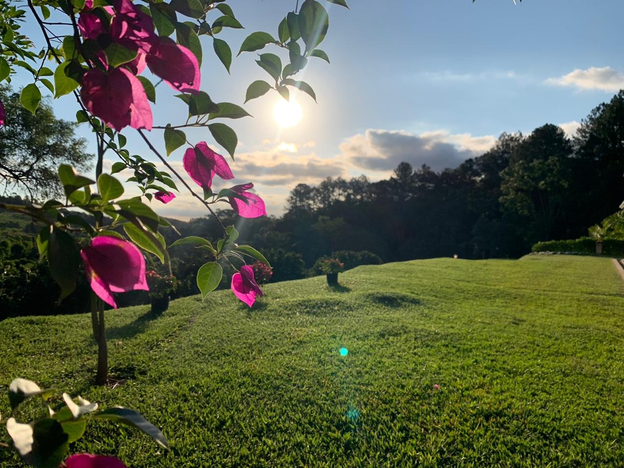 Jardim do Eco Espaço com buganvílias rosas e gramado verde ao pôr do sol