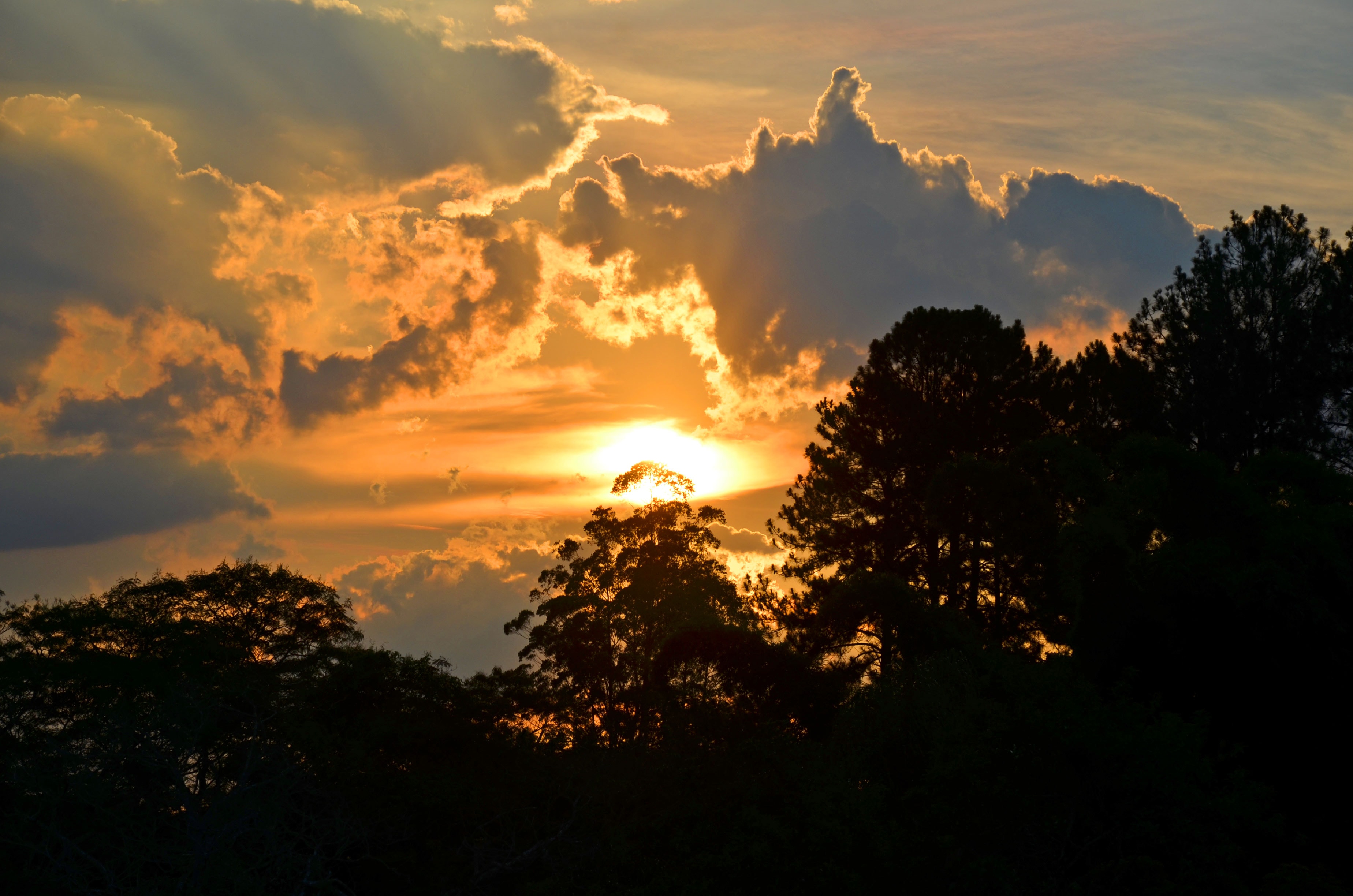 Pôr do sol dramático com raios de luz entre nuvens sobre a Mata Nativa do Eco Espaço