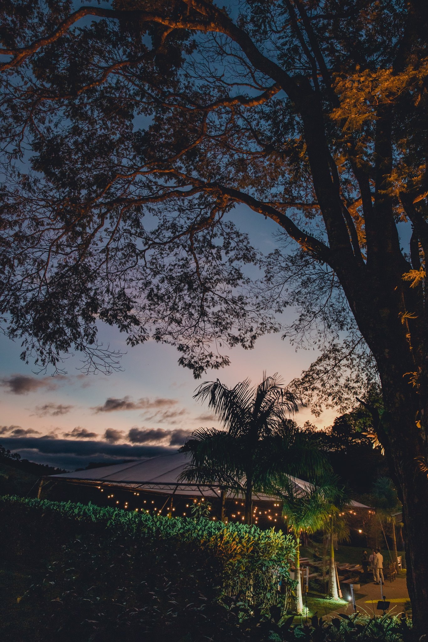 Vista noturna do Eco Espaço com tenda iluminada por cordões de luz, palmeiras e céu azul ao entardecer sob árvore centenária